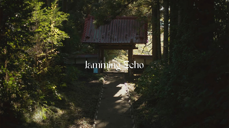 DJ Erykah. Jamming Echo